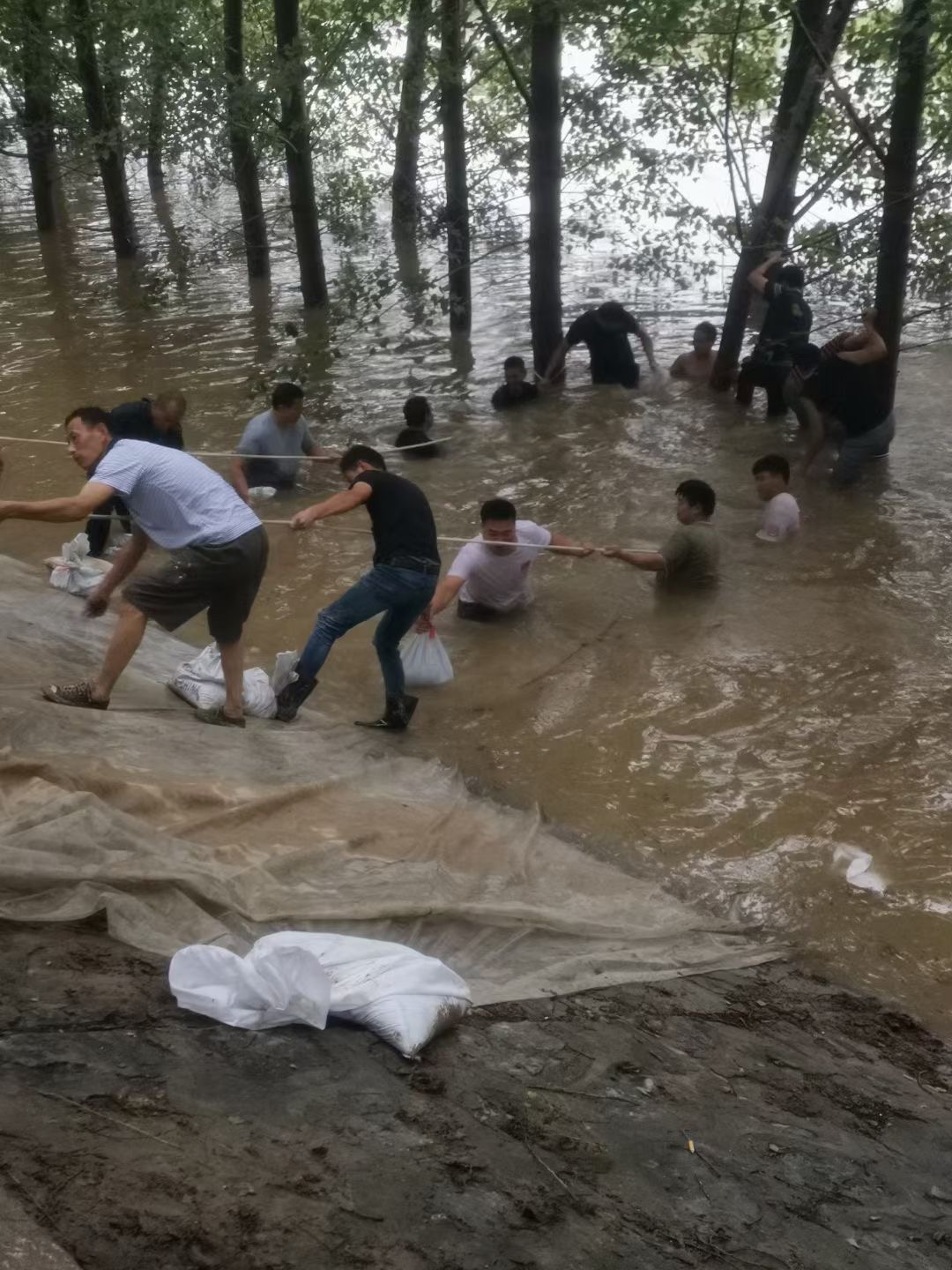 64ec82c7ea3a7004ec78fd70733c405