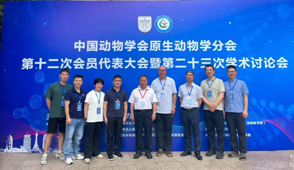 dc125481-6729-4fe9-b002-1000dbe737f2 dc125481-6729-4fe9-b002-1000dbe737f2