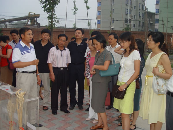 与会代表参观小麦育种中心